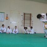 kodokan judo - sport 675